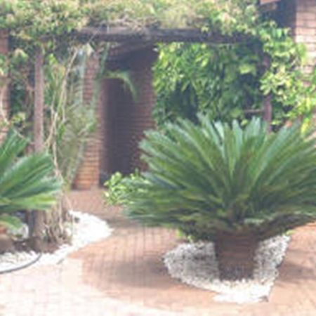 Cycas Guest House Malalane Exterior foto