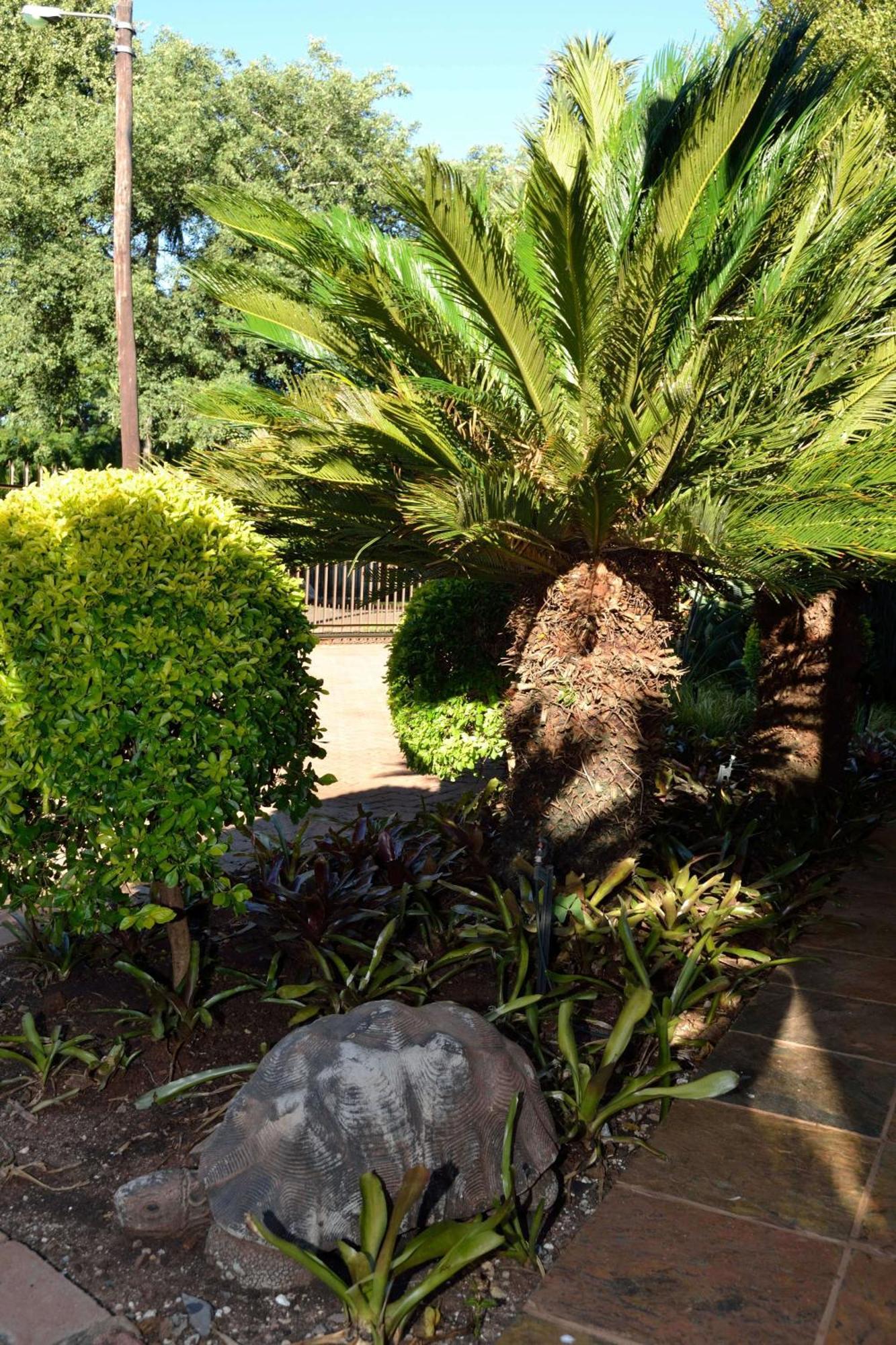 Cycas Guest House Malalane Exterior foto