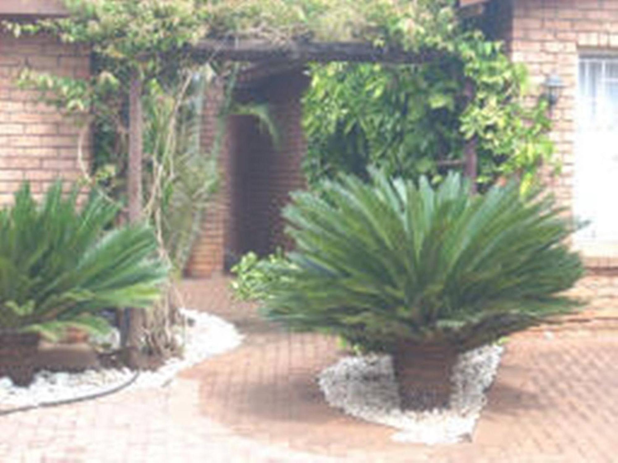 Cycas Guest House Malalane Exterior foto