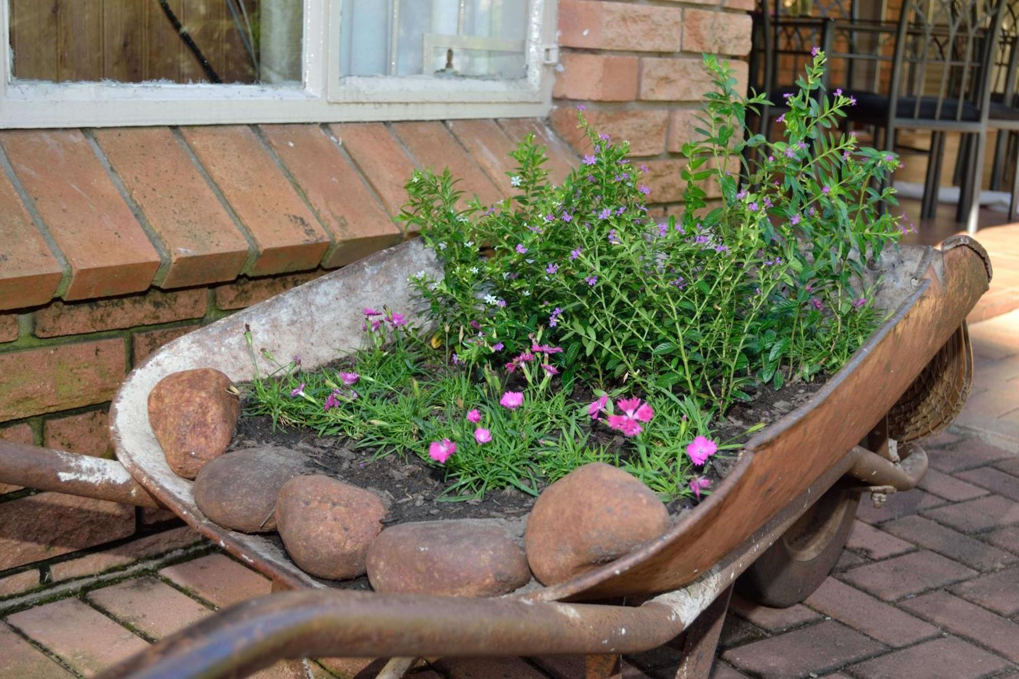Cycas Guest House Malalane Exterior foto