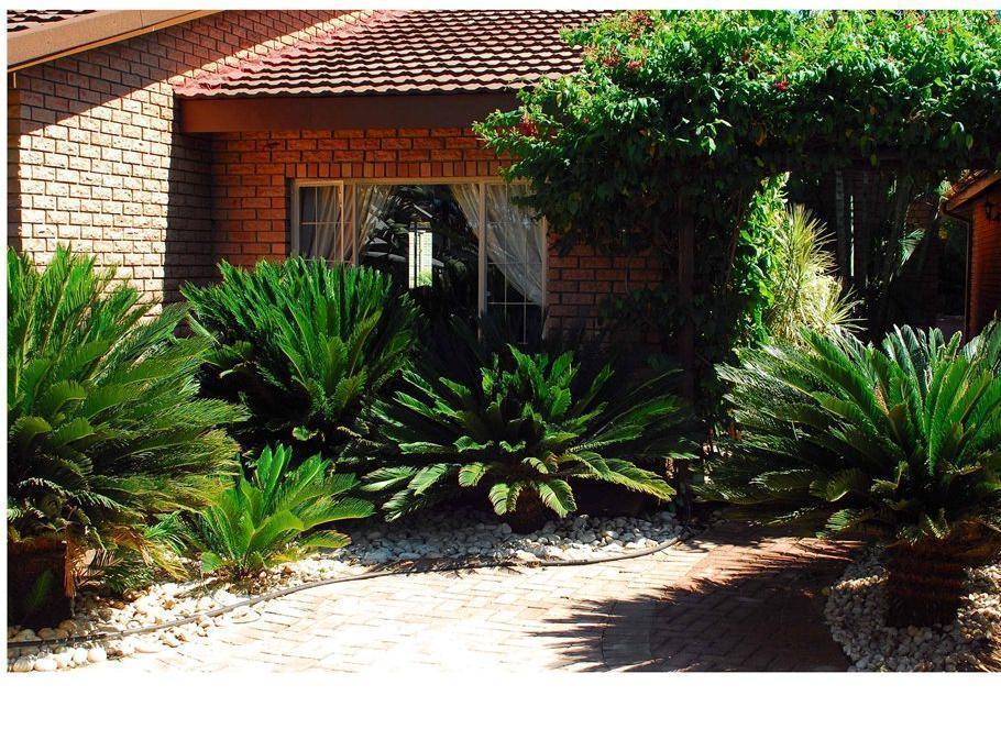 Cycas Guest House Malalane Exterior foto